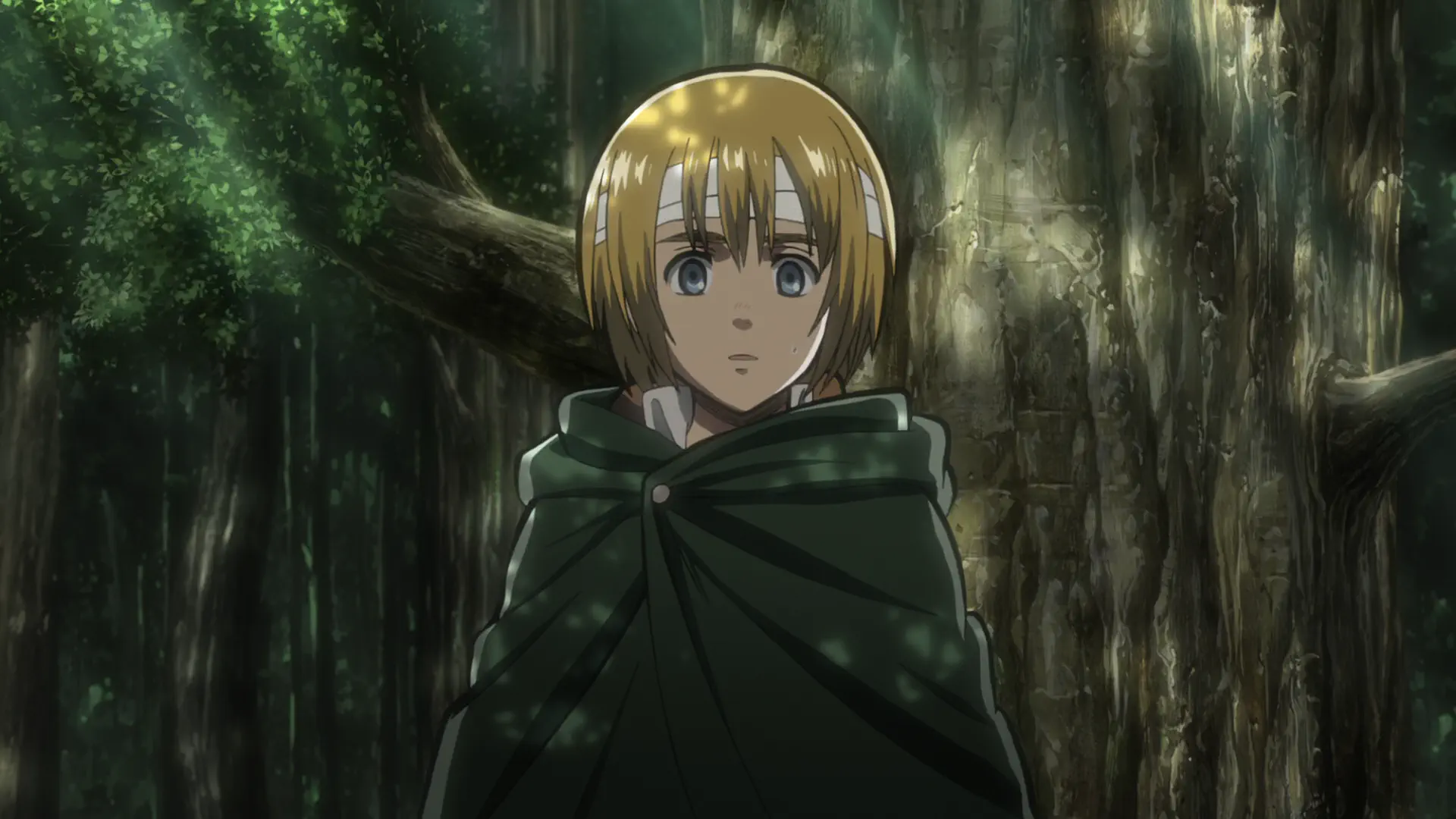 Shingeki no Kyojin - Episode 18 : Forest of Giant Trees: 57th Expedition Beyond the Walls (2)