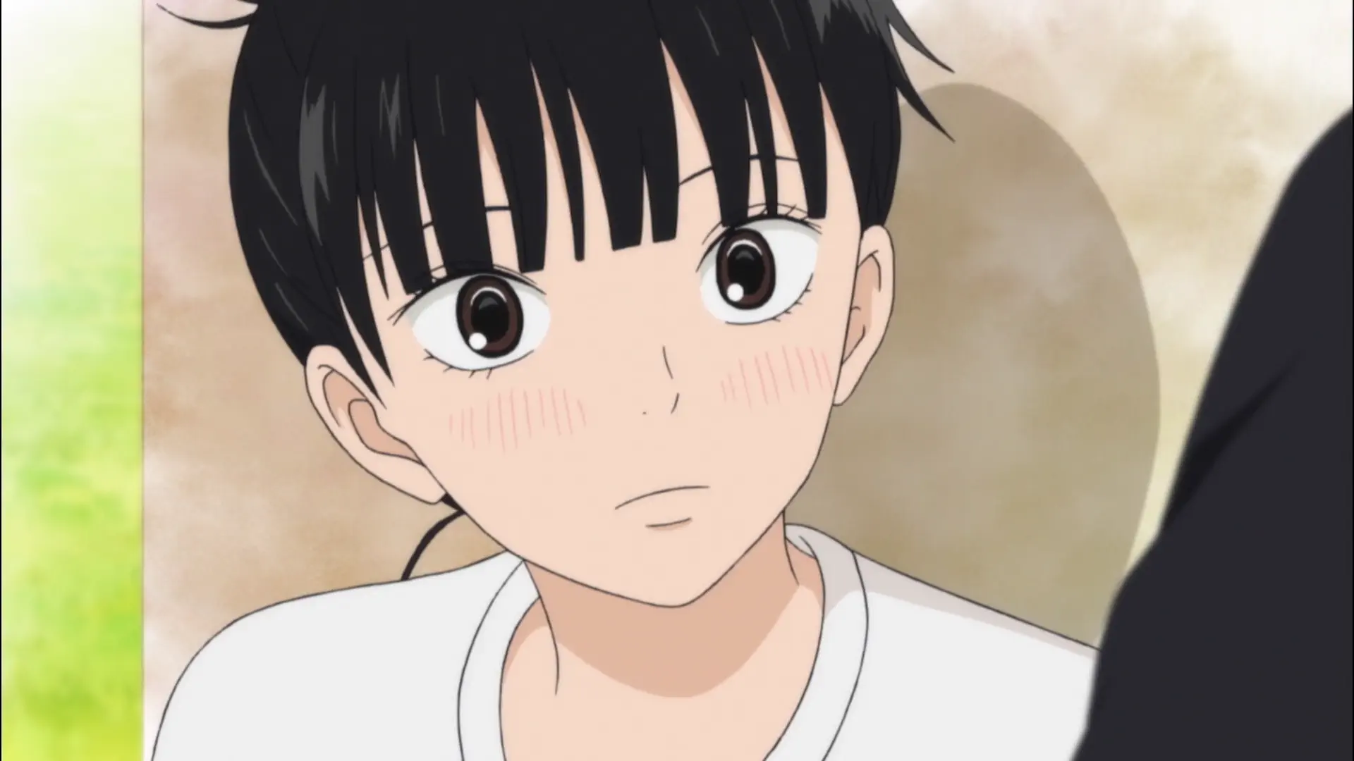 Kimi ni Todoke - Episode 12 : Romantic Feelings