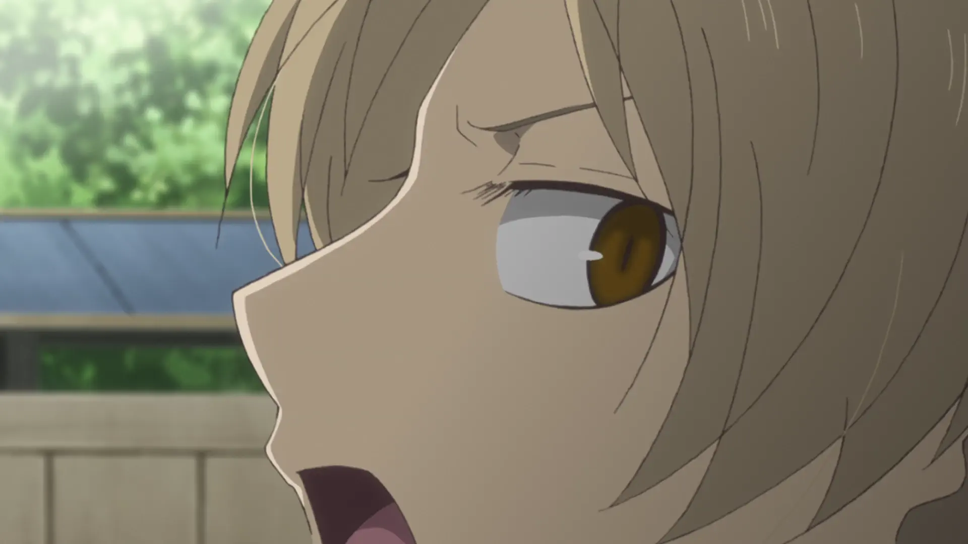 Natsume Yuujinchou Roku - Episode 8 : A Day That Will Someday Come