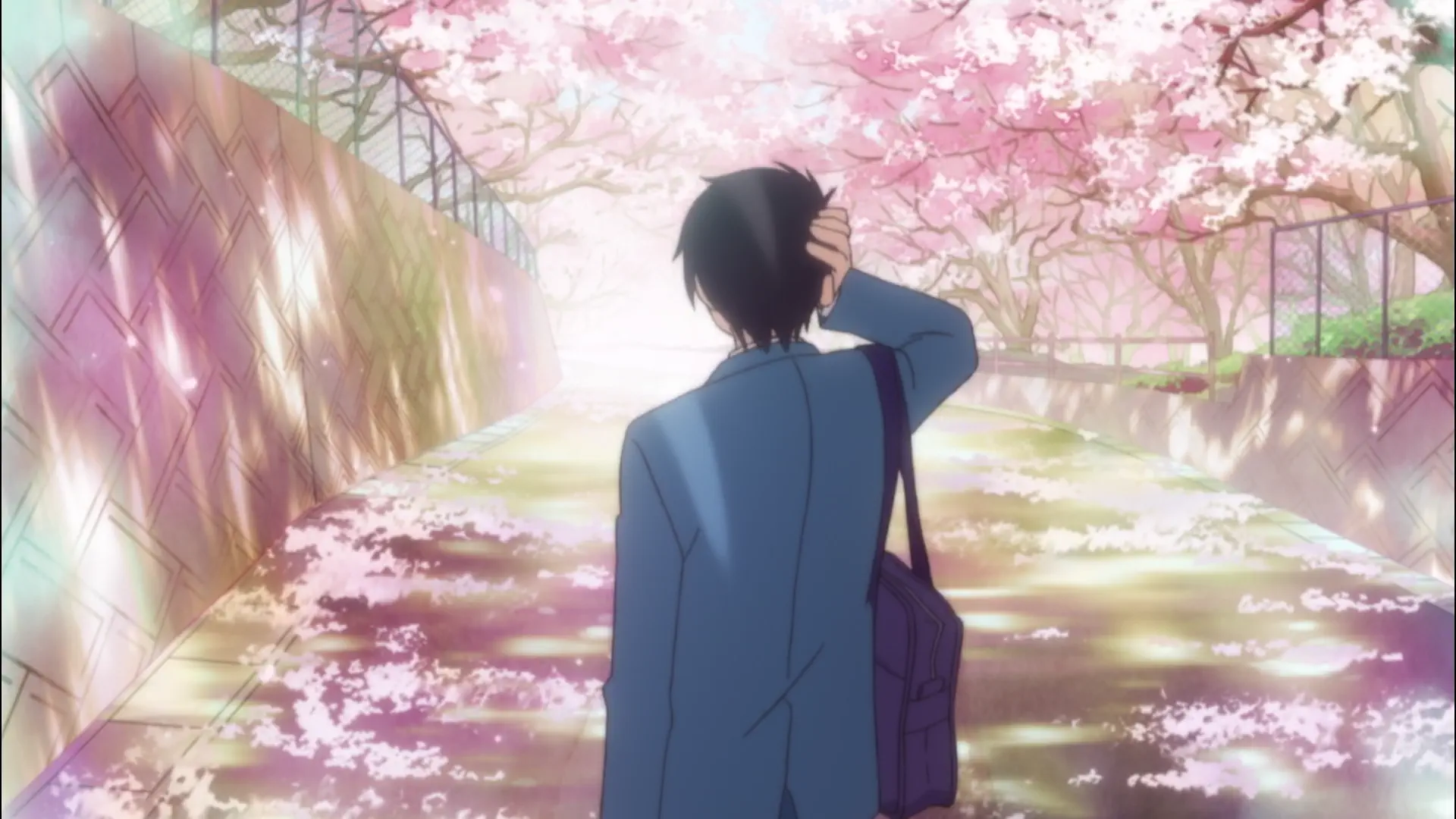 Kimi ni Todoke - Episode 16 : Night Story