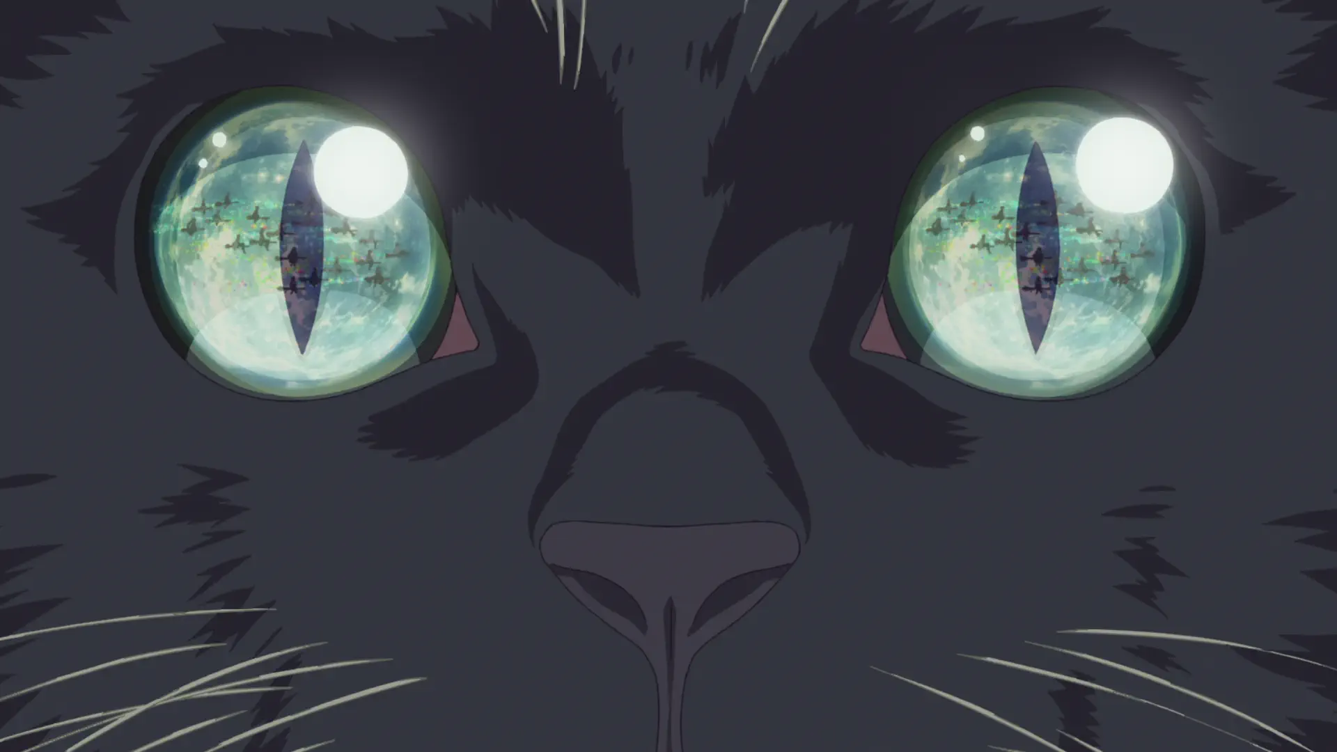 Mahou Tsukai no Yakusoku - Episode 1 : The Wind Is Strong, and the Cats Are in a Frenzy