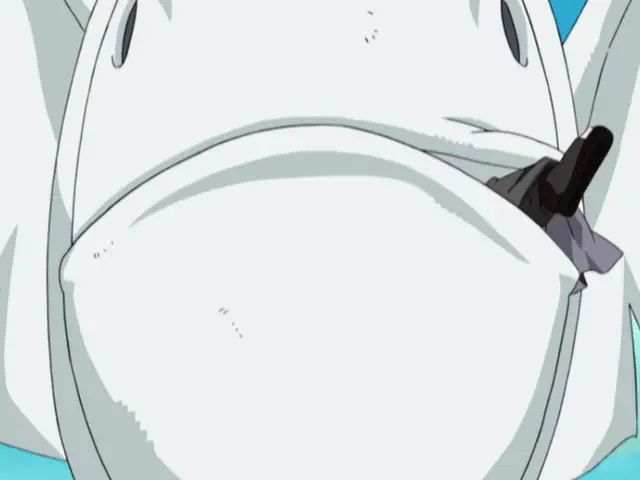 Naruto Shippuuden - Episode 21 : True Face of Sasori