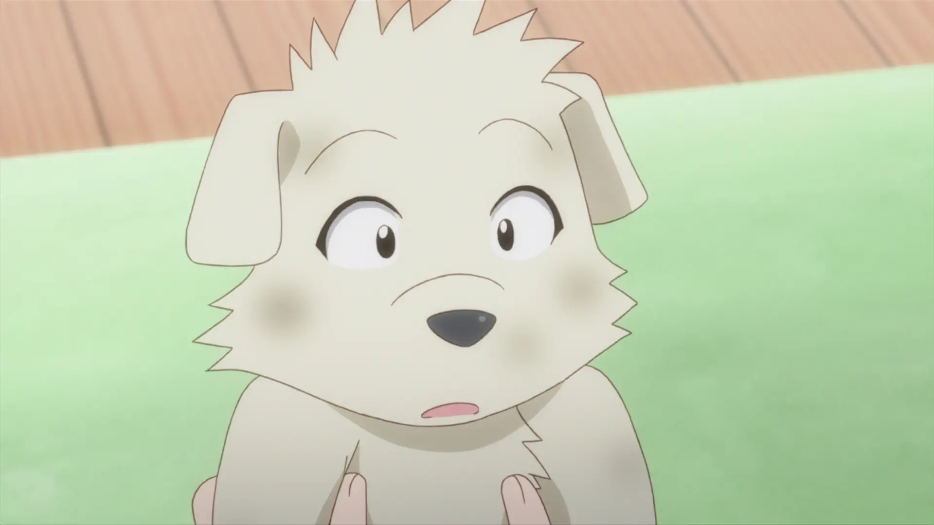 Motto To Love-Ru: Trouble - Episode 8 : Become Bigger / Wonderful Life / The Trance of Feelings