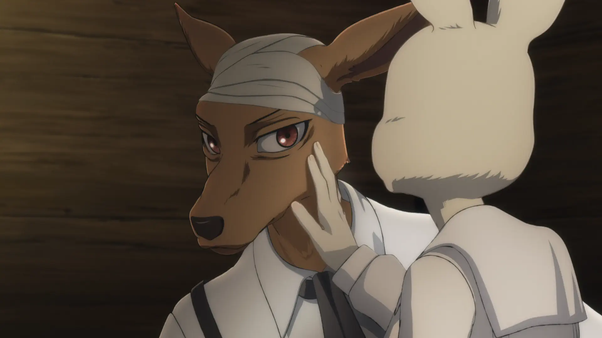 Beastars - Episode 7 : Below the Fur Coat